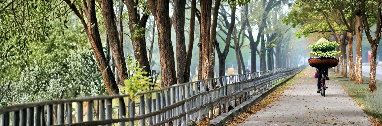 سفر ویتنام بنر.jpg