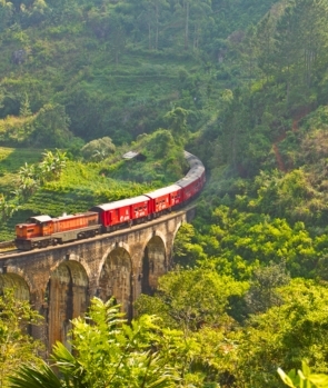 تور سریلانکا