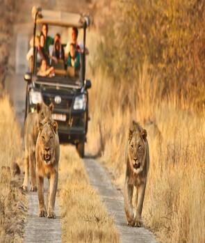 تور آفریقای جنوبی ویژه 2 فروردین ماه ، نوروز 1404