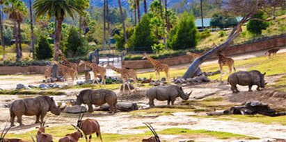 با بهترین باغ وحش های اروپا آشنا شوید